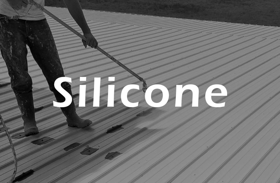 Silicona